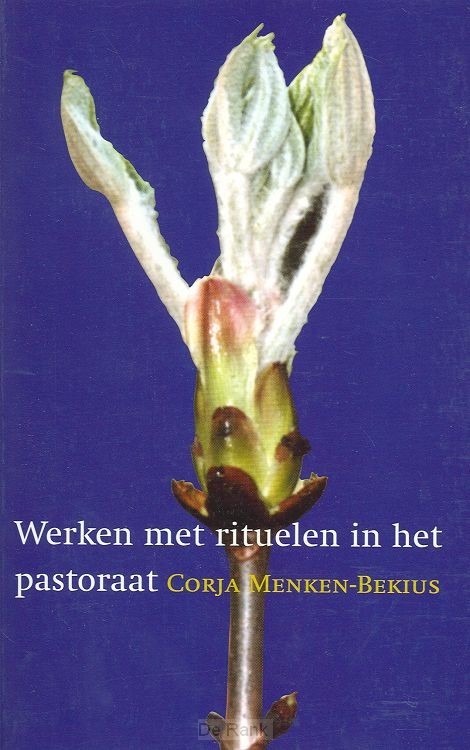 Werken met rituelen in het pastoraat POD