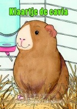 Klaartje de cavia