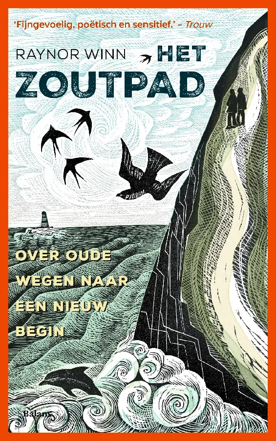 Zoutpad