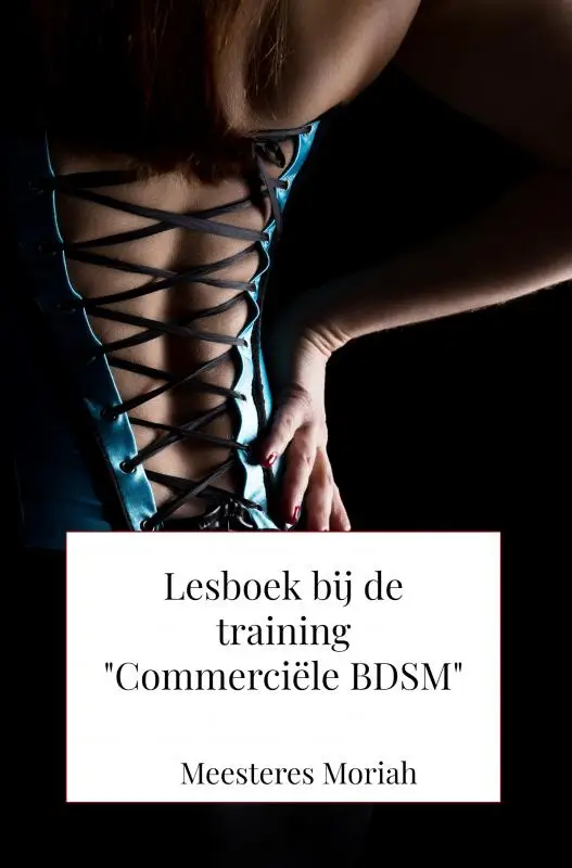 Lesboek bij de training 'Commerciële BDSM'