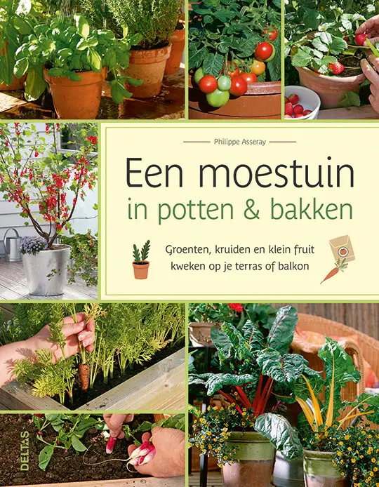 Moestuin in potten & bakken