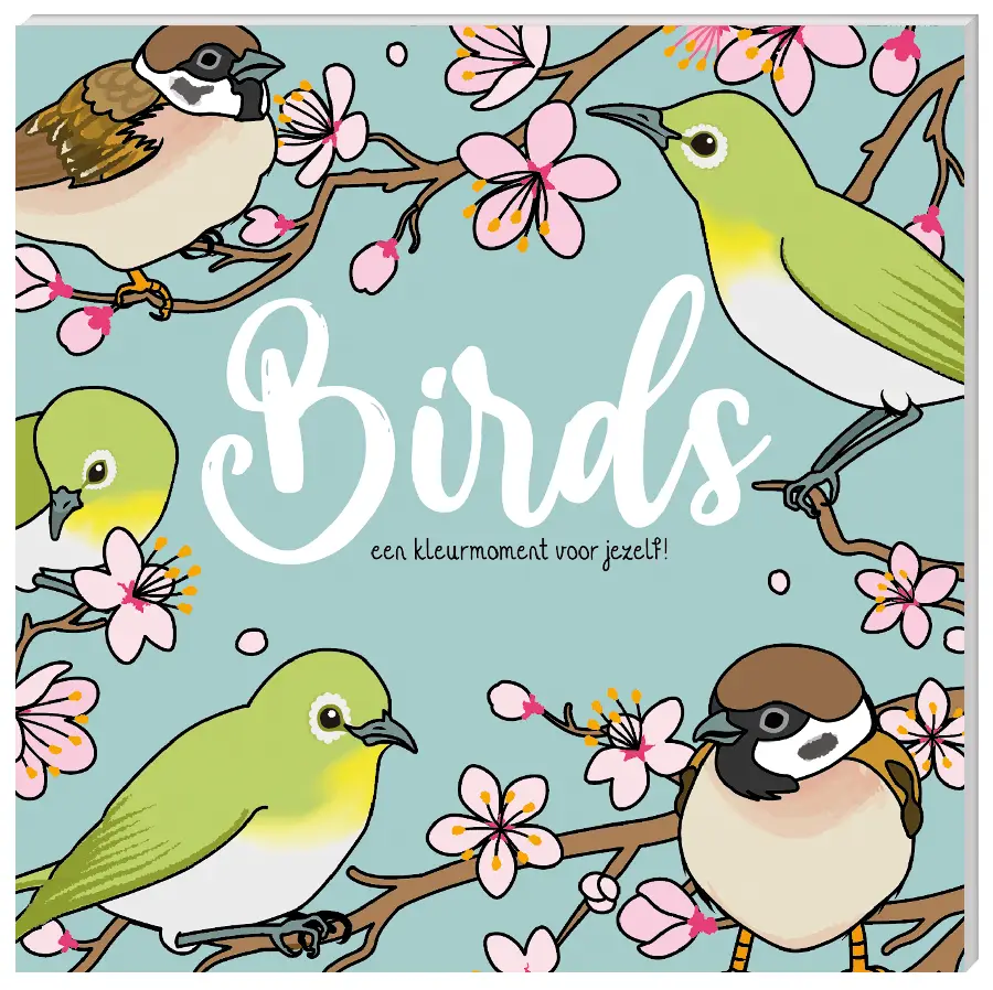 Kleurboek - Birds
