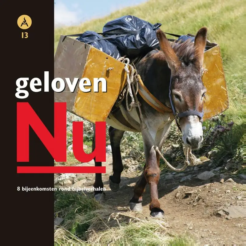 Geloven nu 13
