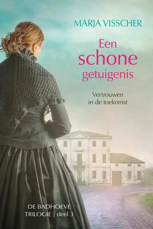Schone getuigenis