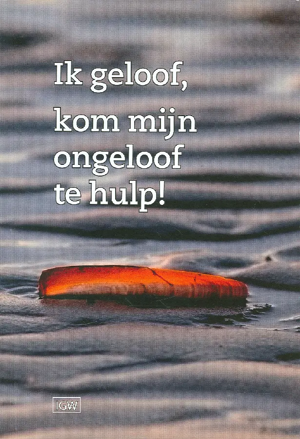 Ik geloof kom mijn ongeloof te hulp!