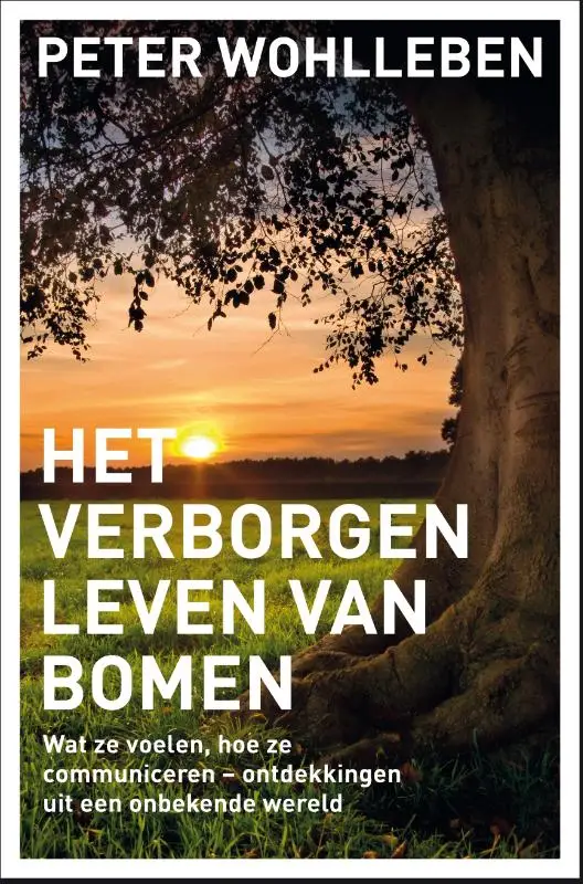 VERBORGEN LEVEN VAN BOMEN