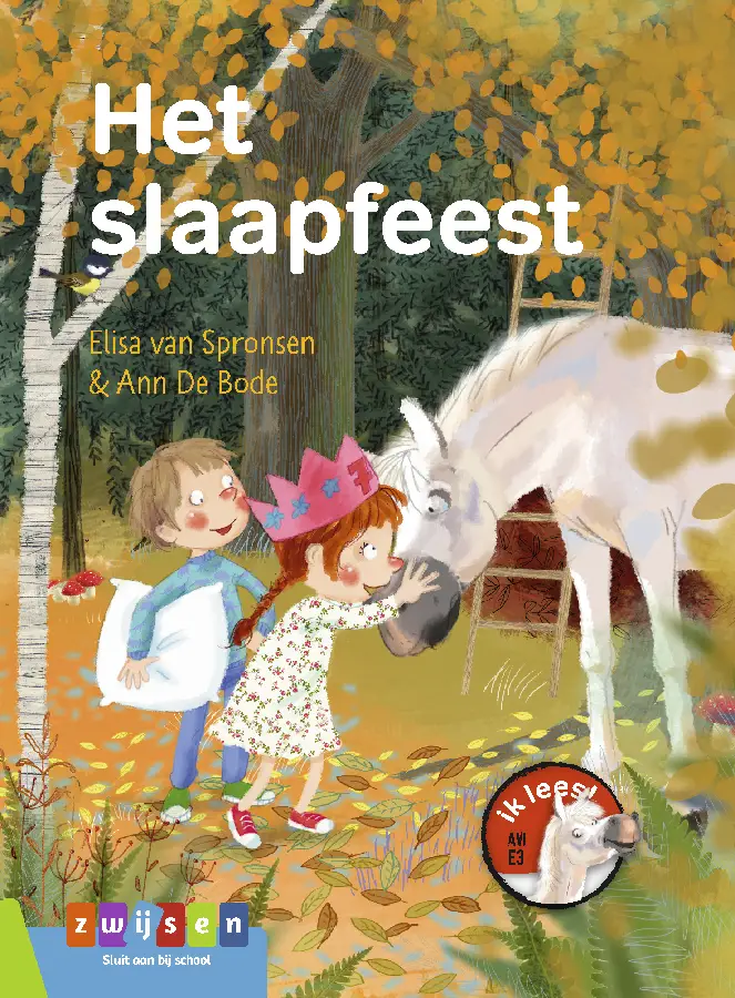 Slaapfeest