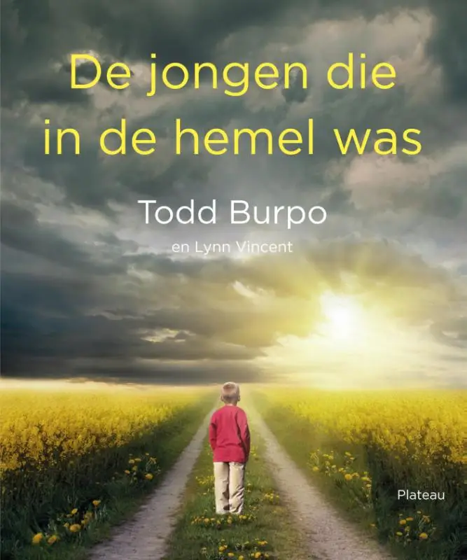 JONGEN DIE IN DE HEMEL WAS, DE