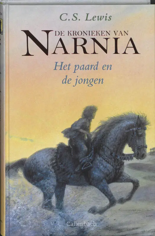 Paard en de jongen