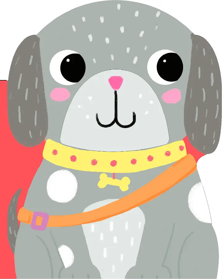 Sanders grote avontuur hond