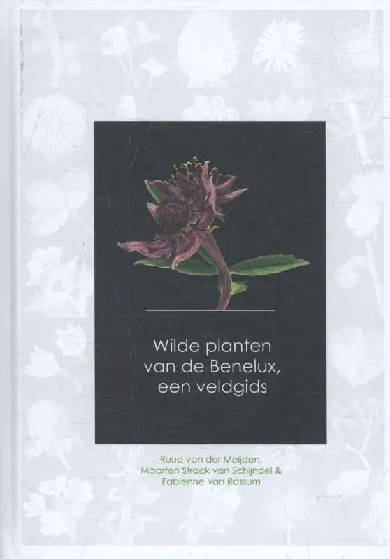 Wilde planten van de Benelux, een veldgi