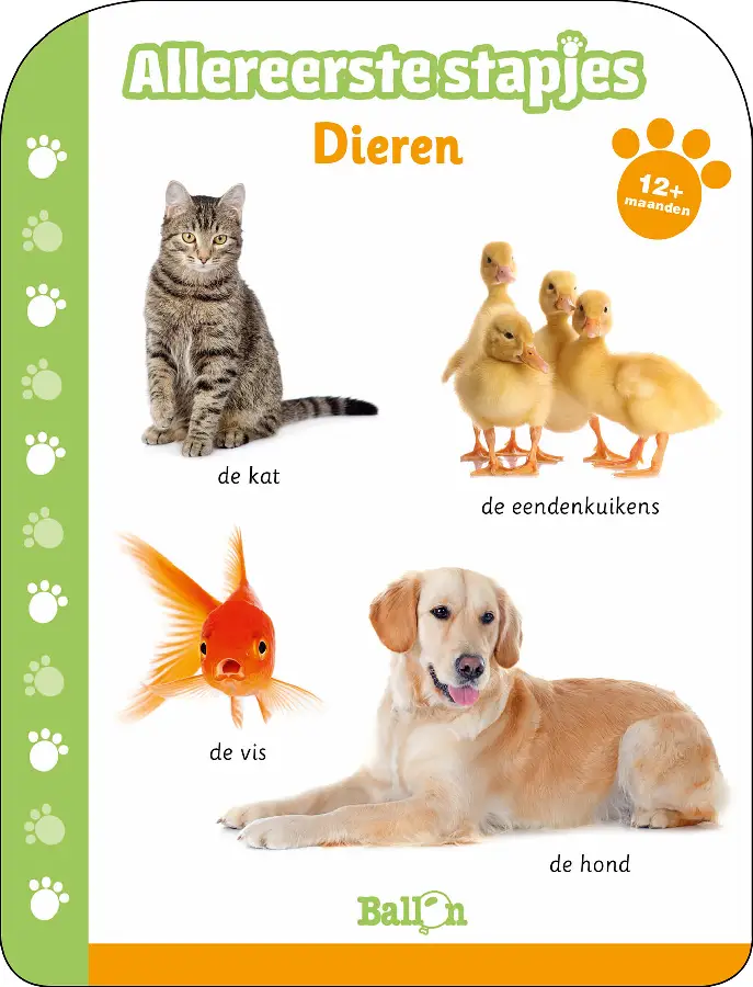 Dieren 1+