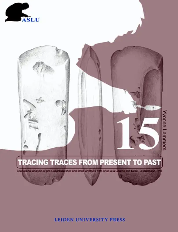 Tracing traces from present to past