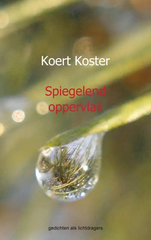 SPIEGELEND OPPERVLAK