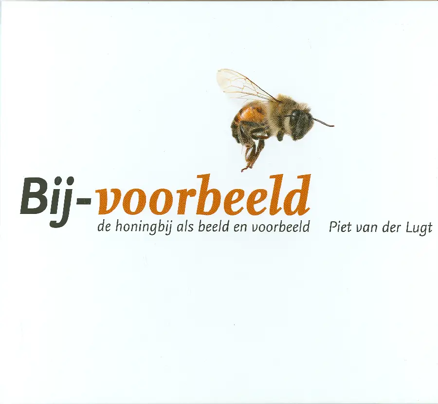 BIJ-VOORBEELD