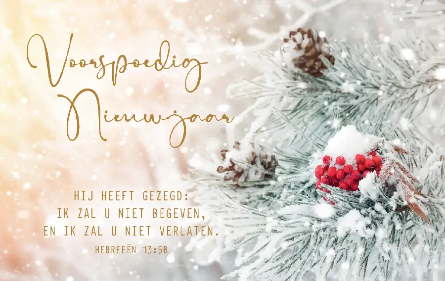 Map EK Kaart Voorspoedig Nieuwjaar m/t