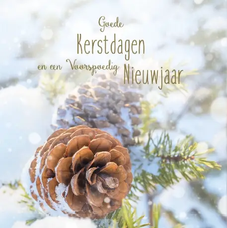 Kerstbox Goede K/N