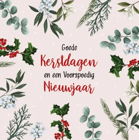 Kerstbox Goede K/N