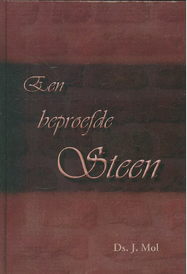 BEPROEFDE STEEN, EEN