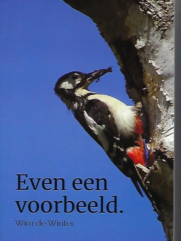 Even een voorbeeld