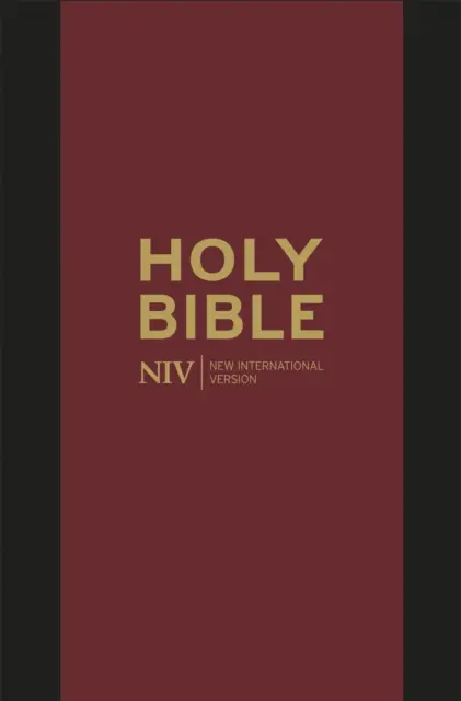 NIV - Pocket Bible With Zip
