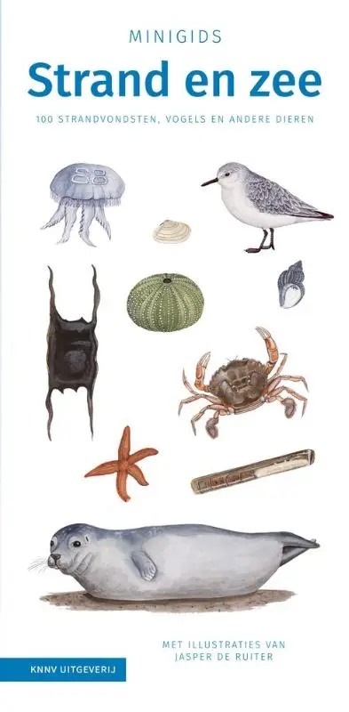 Minigids Strand en zee