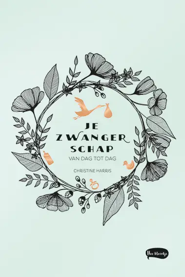 JE ZWANGERSCHAP VAN DAG TOT DAG