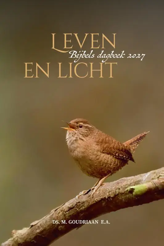 Leven en licht