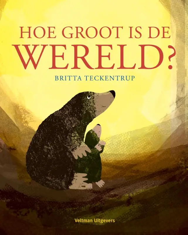 Hoe groot is de wereld