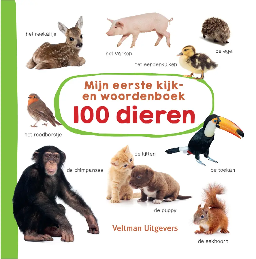 Mijn eerste kijk-en woordenboek: 100 die