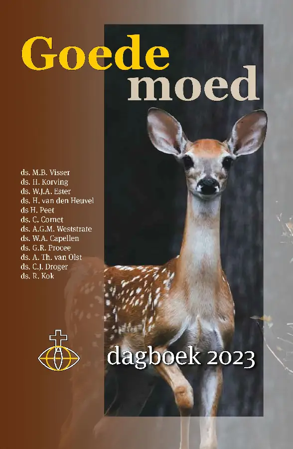 Goede moed 2023 standaard