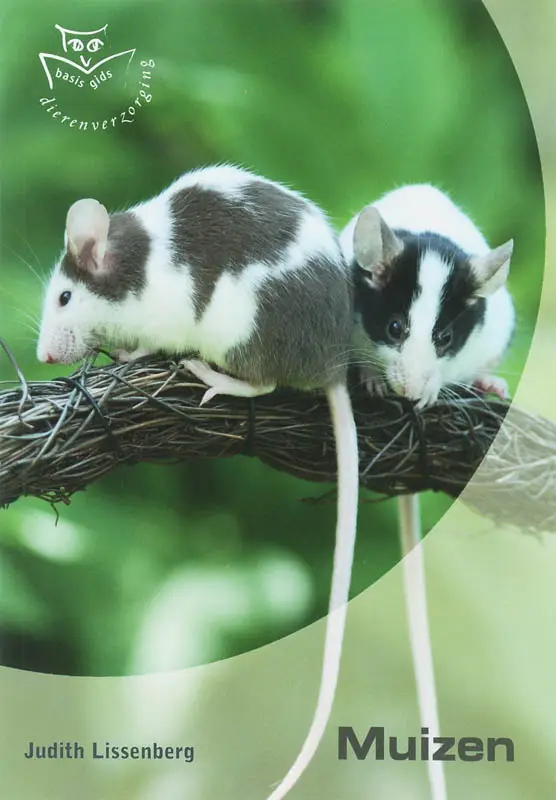 Muizen dierverzorging