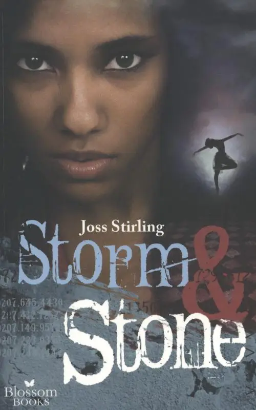 Storm en stone