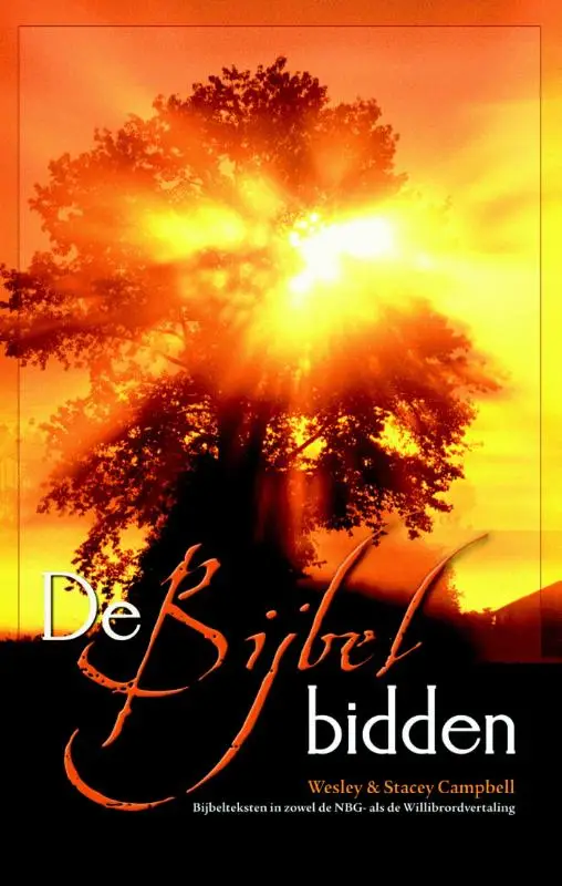 BIJBEL BIDDEN, DE