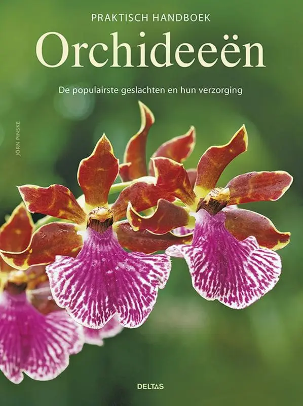 Praktisch handboek orchideeen