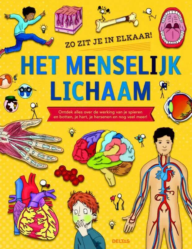 Menselijk lichaam