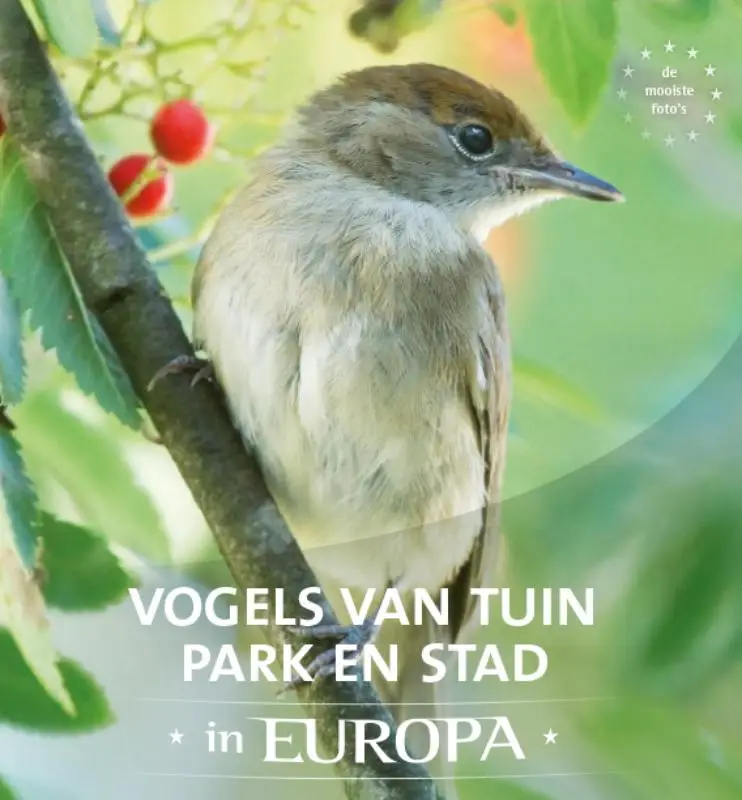 VOGELS VAN TUIN PARK EN STAD IN EUROPA